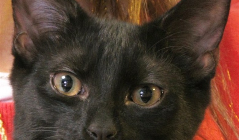 Friday the Thirteenth - A Brief History of Why You Might Feel a Little Uneasy Today
