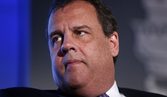 Anti-Amnesty Activists Have a Lot to Prove in 2016