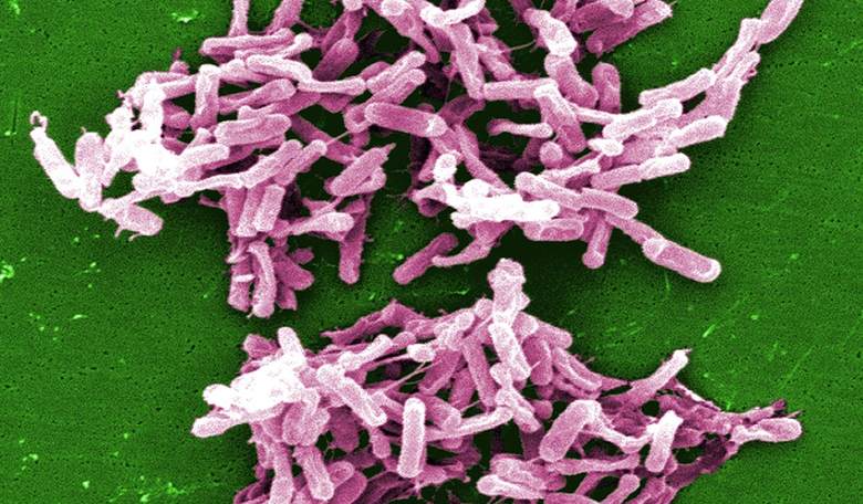 CDC: Don't Let Your Kids Infected with Diarrhea Crap in the Pool