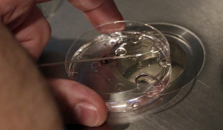 Portland Scientists Edit Embryo Genes 