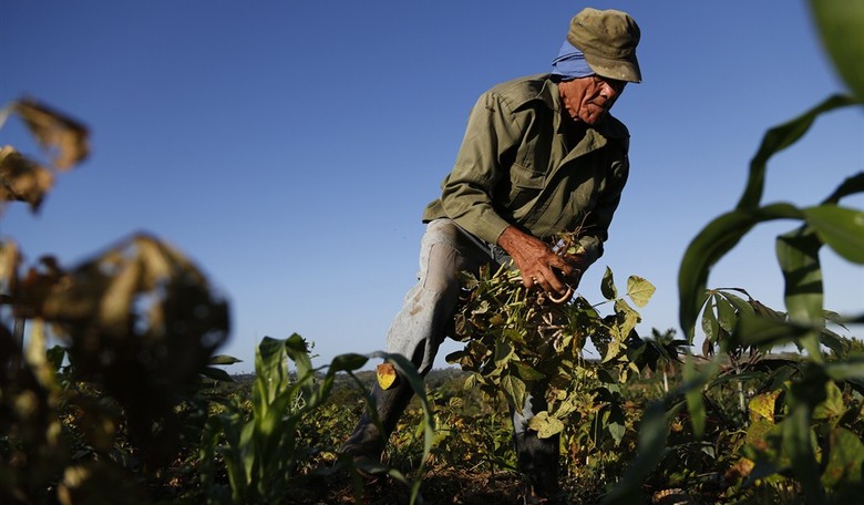 Food Needs Free Markets 