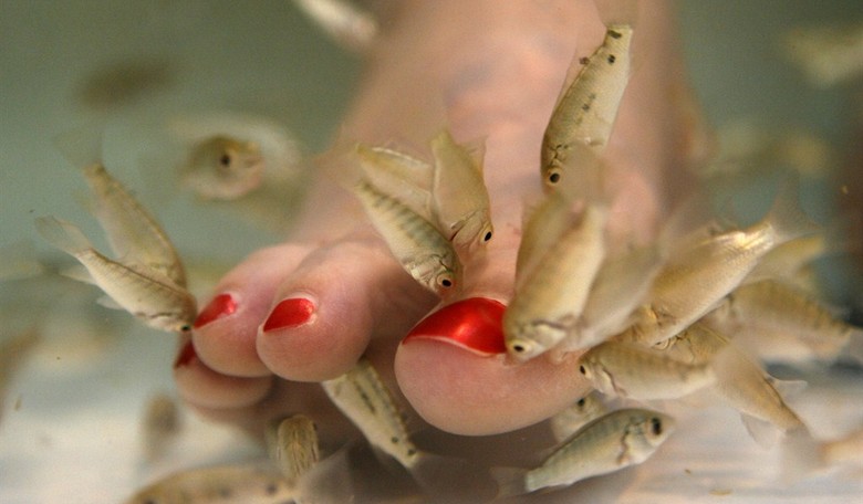 Weird News: This Sets a Whole New Meaning of 'Toeing the Line'