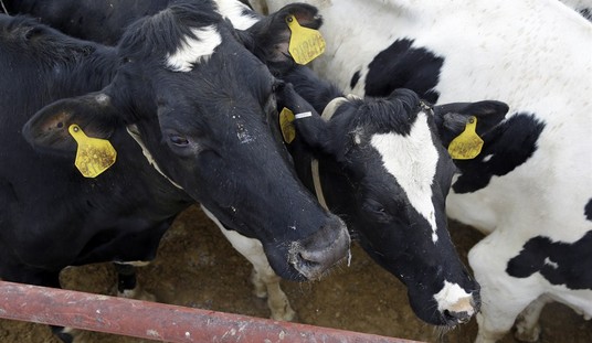 Climate Action Shouldn’t Mean Sacrificing Life, No Matter Whose It Is