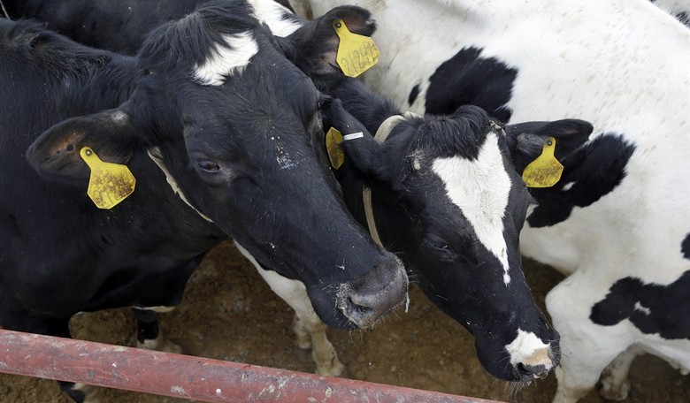 Climate Action Shouldn’t Mean Sacrificing Life, No Matter Whose It Is