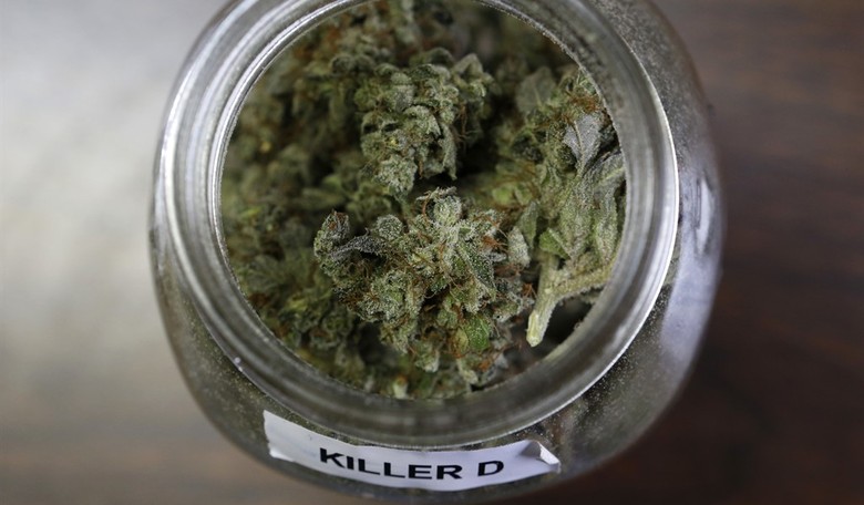 California Likely Voting on Marijuana Legalization This November