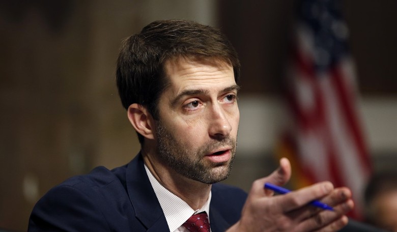 Sen. Cotton on How the Chamber of Commerce Has 'Gone Left'