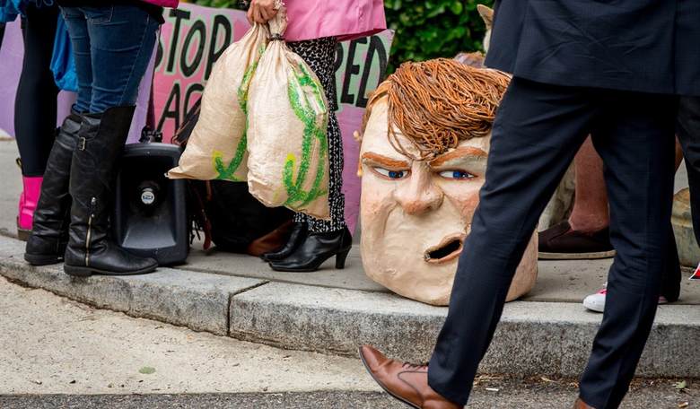 Democrats' Traditional Blocs Appear United Against Trump