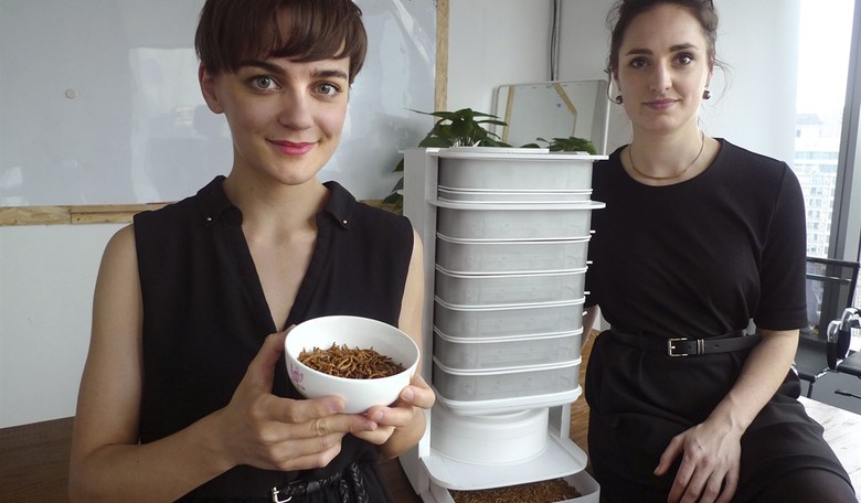 Eat the Bugs Update: WEF Globalists Have a Problem - Nobody Wants Them