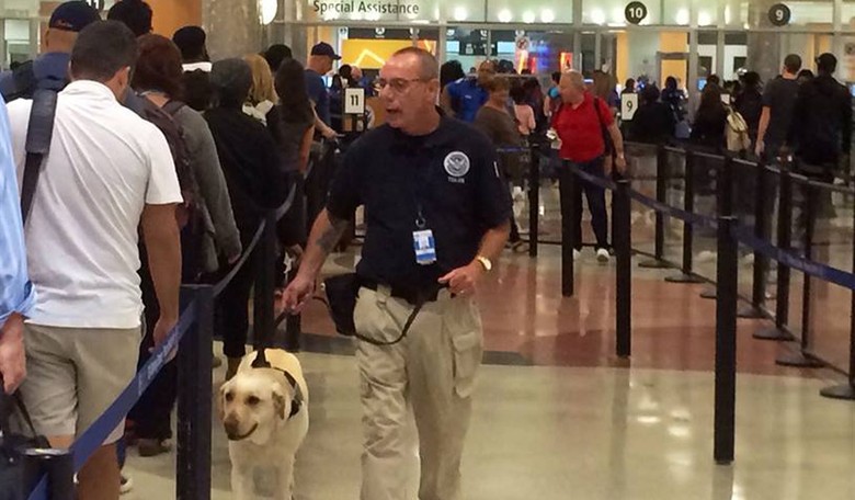 High Time to Privatize TSA