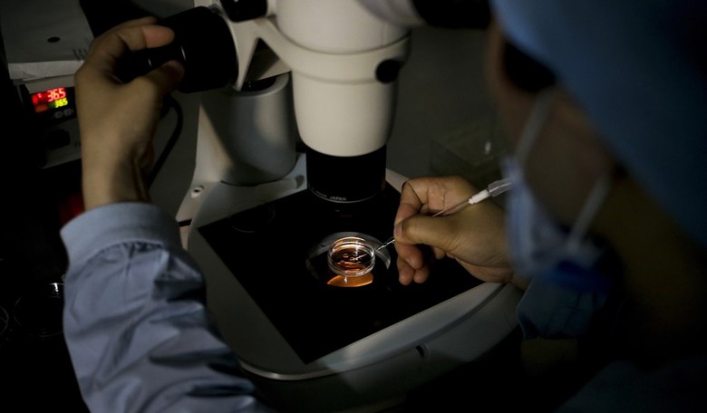 Senate Republicans Block Bill Protecting IVF