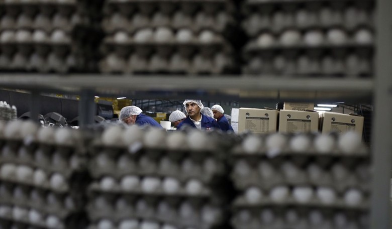 Keep The Labor Market Flexible To Maintain Productivity