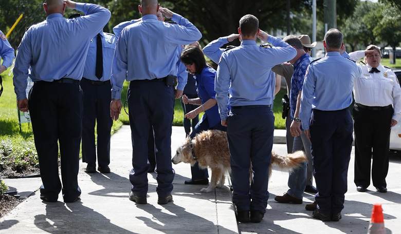 Remembering the Four-Legged Heroes of 9/11