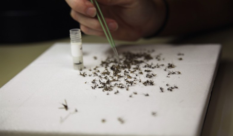 Dems Vote Against Zika Funding Because of 'Partisan' Provisions