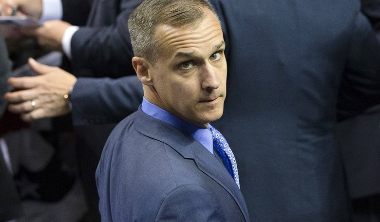 CNN Guest: Lewandowski Owned The Dems Today 