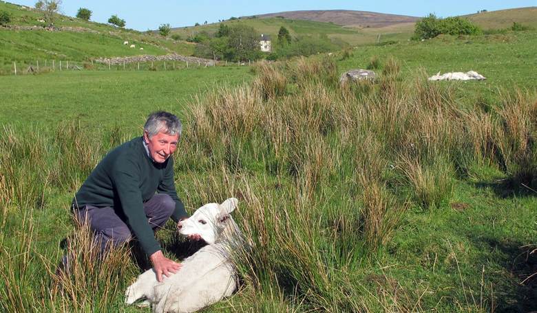 UK Climate Alarmists Plan to Seize Swathes of Farmland