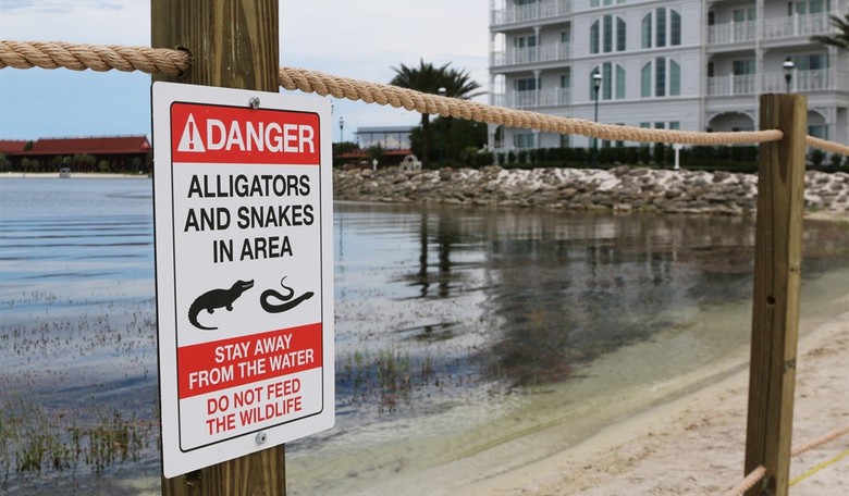 House Democrats Are Flipping Out About Alligator Alcatraz