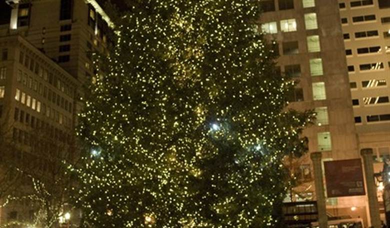 'The Tree' Lighting Ceremony, Portland Style: 'Can I Get a Free, Free Palestine?'