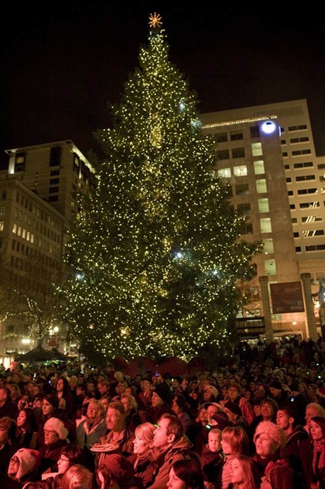 'The Tree' Lighting Ceremony, Portland Style: 'Can I Get a Free, Free Palestine?'
