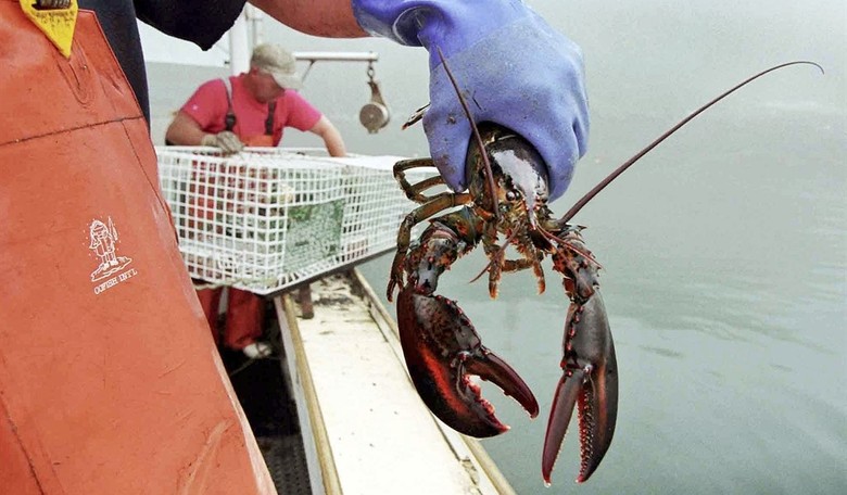 As Maine Goes, Will It Be Left or Right? 