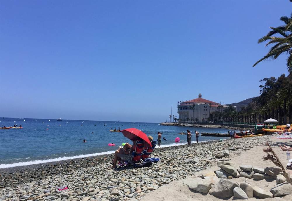 California is WellKnown as the Land of Fruits and Nuts