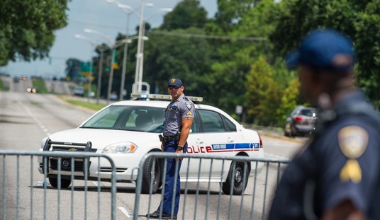 Wisconsin Sheriff: Black Lives Matter Movement Perpetuates 'Anti-police Rhetoric'