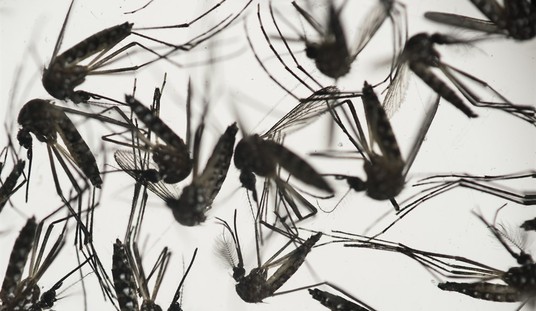 Zika Virus May Have Spread To U.S.