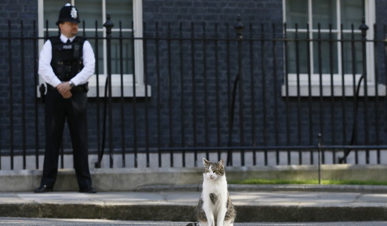 Starmer's Gone: Who Will the Next Fool Be?