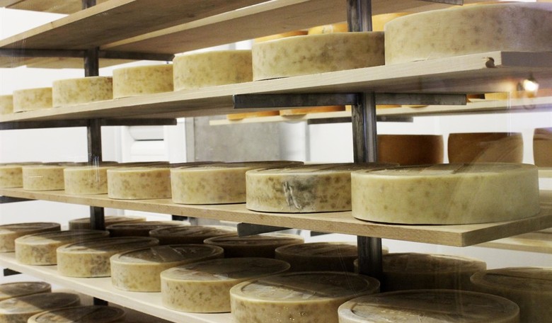 Hello, Wisconsin! Cheeseheads Seem to Be Waking Up