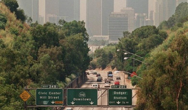 LA Squatter Dies Falling Out of Tree House He Built to Escape Eviction