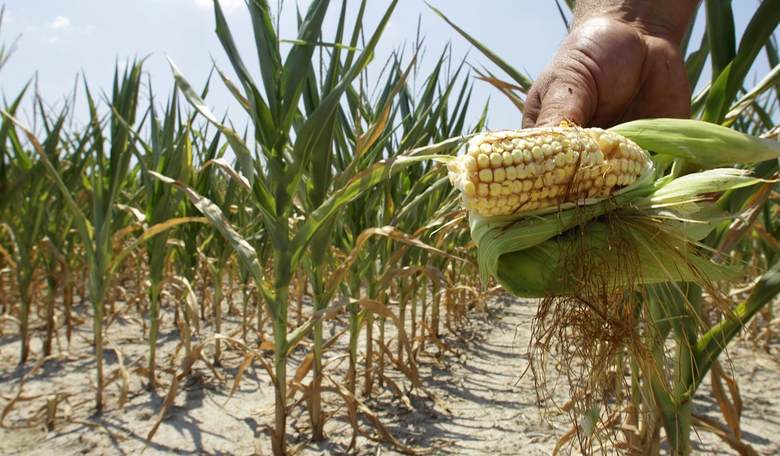 Why Now is the Right Time to Talk About Ethanol