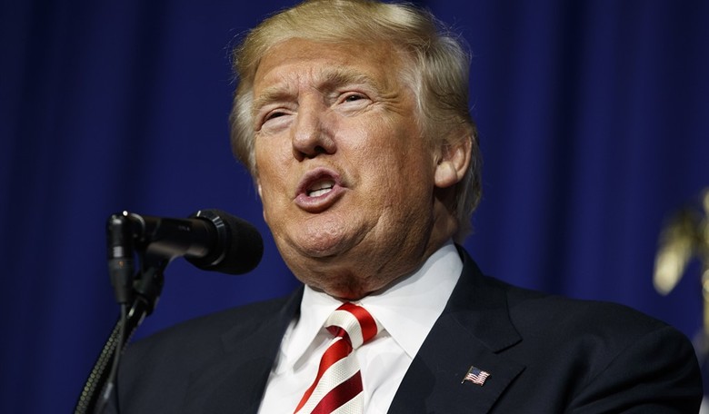Trumping the Establishment
