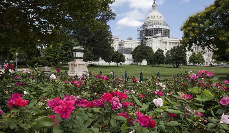 Stop Big Government, Seek Bigger Growth