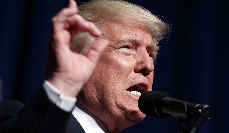 Trump Calls for More High-Skill Immigration