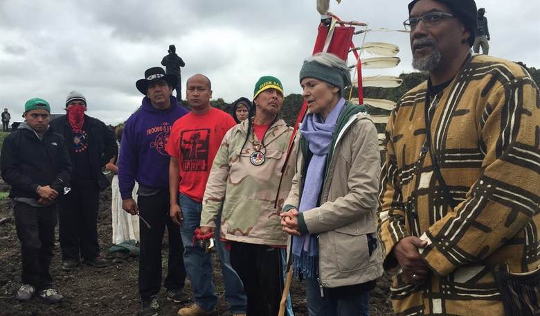 Jill Stein Has Been Charged With Criminal Trespass At A Pipeline Protest