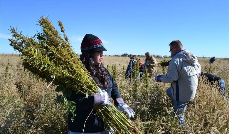 Time to Re-Declare a War on Drugs