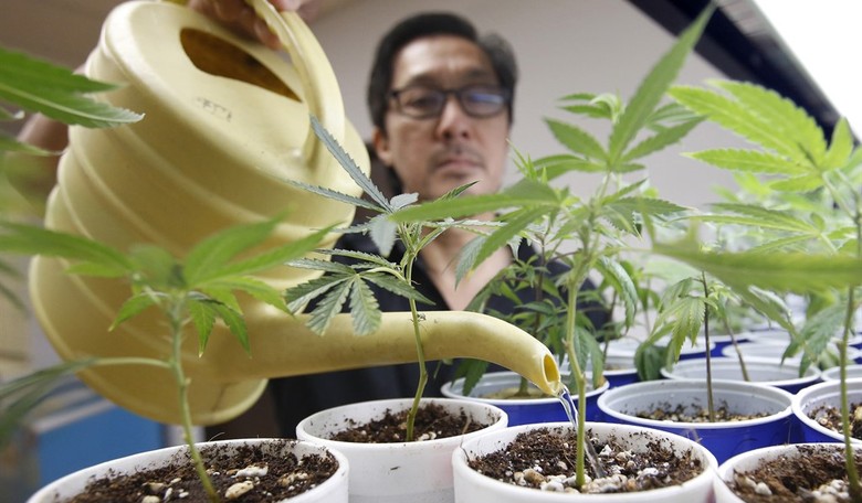 UK Government: Okay, Fine, Marijuana Has Some Health Benefits