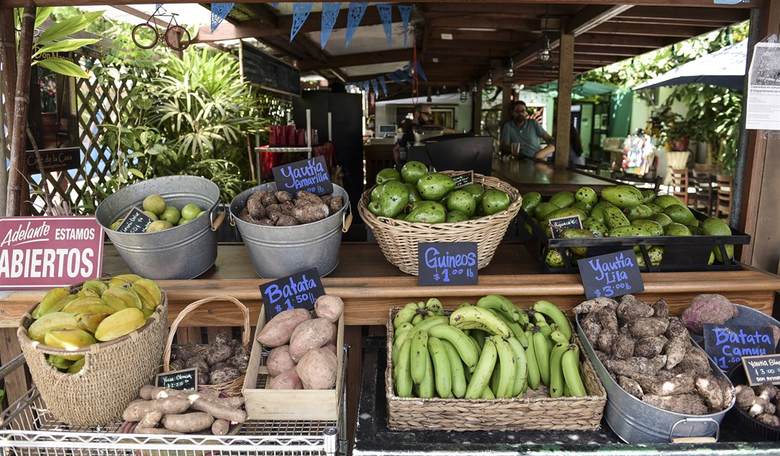 She’d Never Seen That Much Food Before: A Hard Reality From a Farmers Market