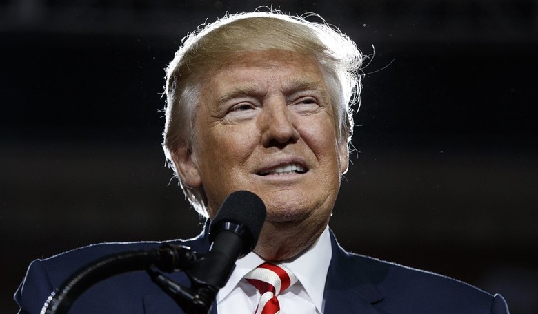 How Donald Trump Became the Issue