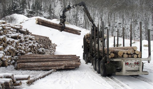 Don’t Overlook America’s Loggers