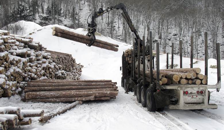 Don’t Overlook America’s Loggers