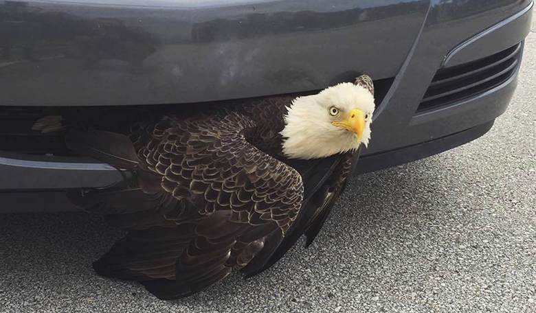 Ignore All of the World Cup Meltdowns; This German Road Trip Account Marveling at America Is Glorious