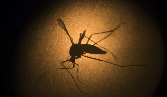 Trump Could Fight Zika with Regulatory Reform