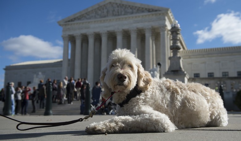 Shrink the Supreme Court?