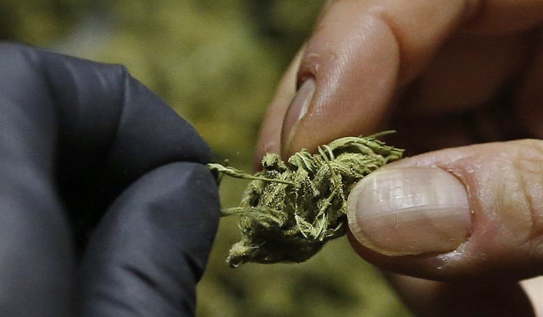 Is Trump's Pot Tolerance Fading? 