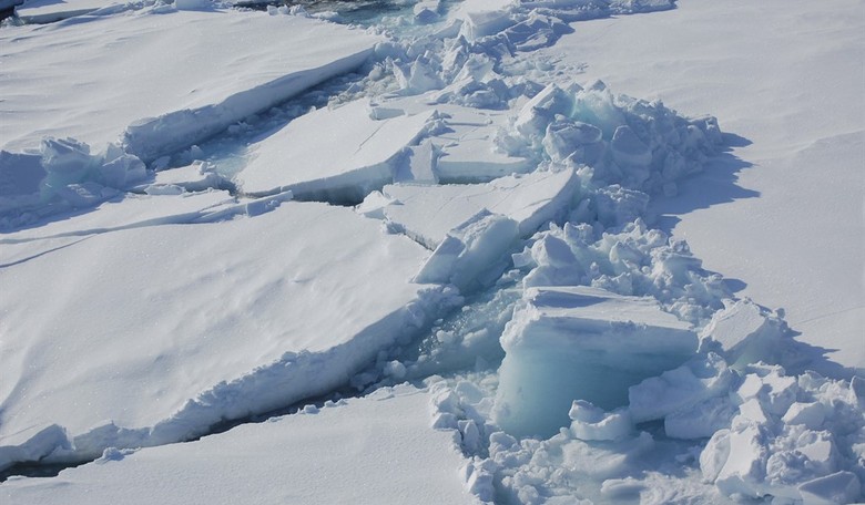 Yes, Climate Change Is Real—and Skepticism about Its Magnitude is Good Science