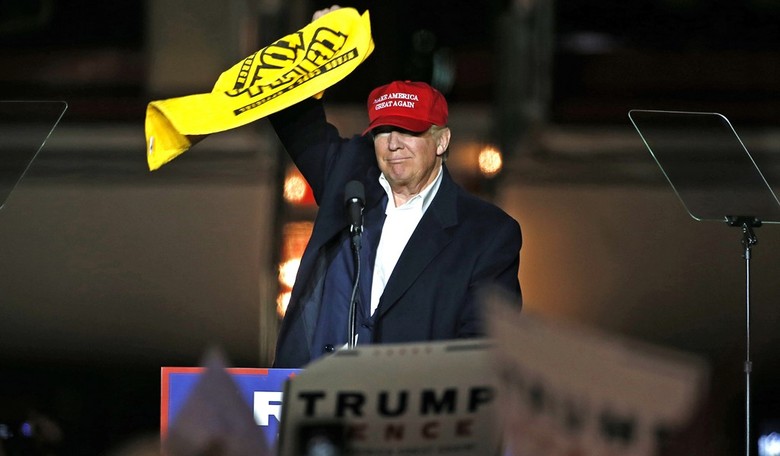 What Hath Trump Wrought?