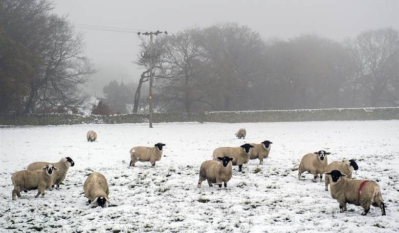 UK's Energy Secretary Net Zero Mania a 'Threat to National Security'
