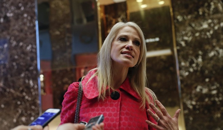 Kellyanne Conway on Prospect of Romney as Secretary of State: 'I'm a Concerned Citizen' 