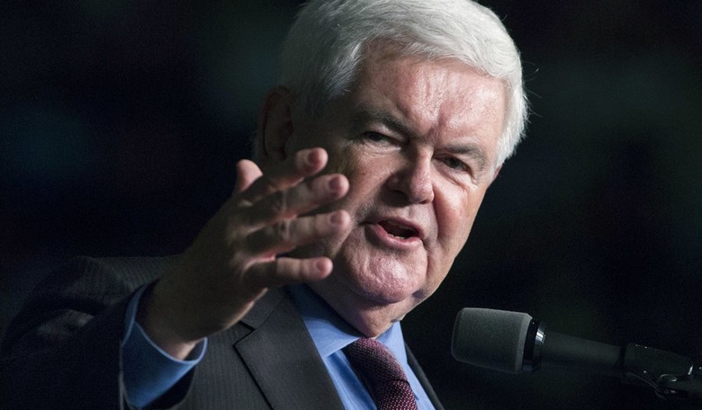 Newt Gingrich: Expect Stupid And Broken Systems To Be Fixed With Trumpism