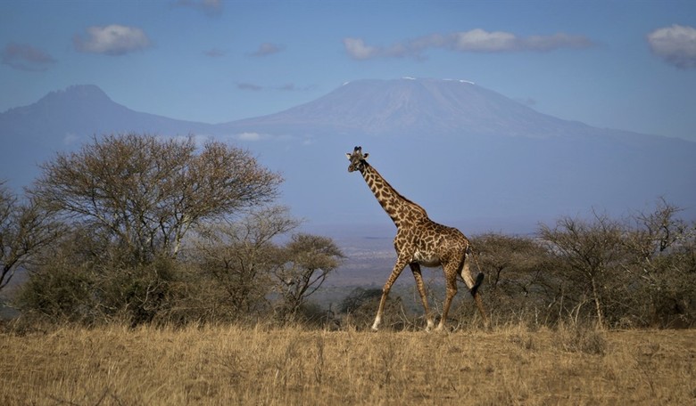 Is National Geographic Complicit in a Form of Child Abuse?